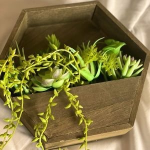 Succulent Wall Decor